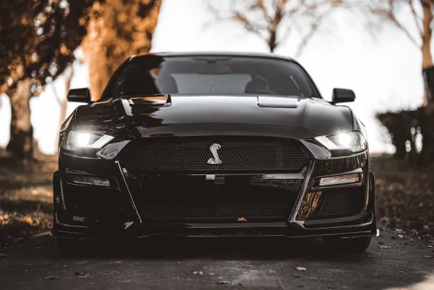 ピーユーアールイー カジノ Android/iOS アプリ